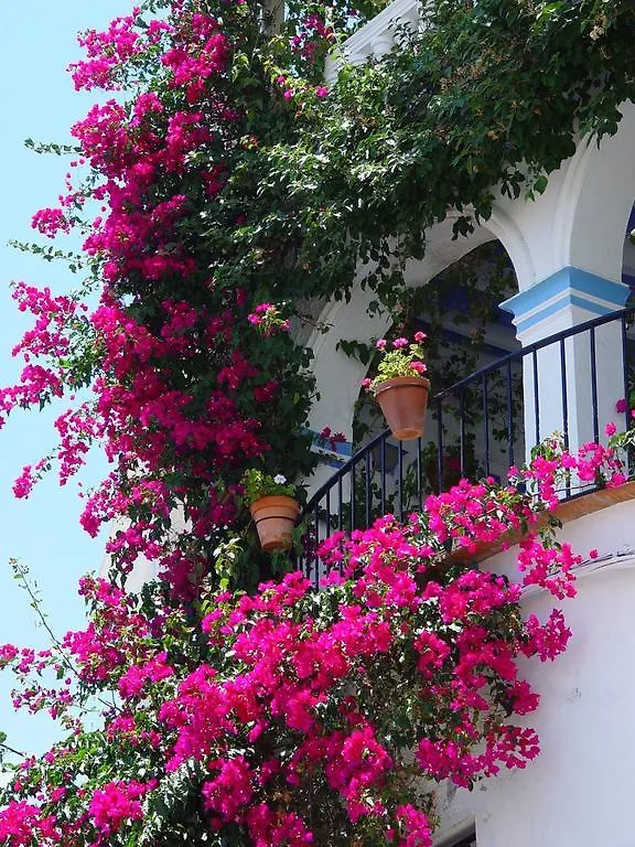 Apartment Rincon Mojacar